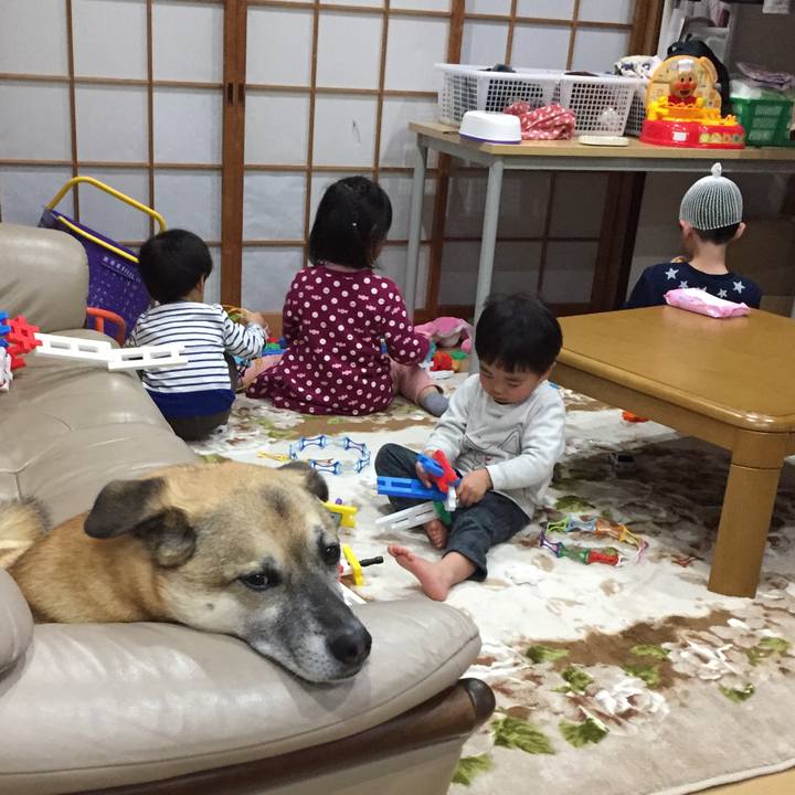 790a3d24 1013 4212 9211 521dfa23e119 1514548886939