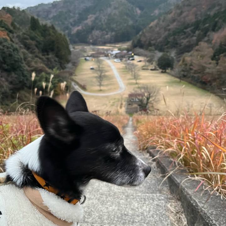 790a4c37 e67c 4074 a263 280ed3b4200b 1765206186276