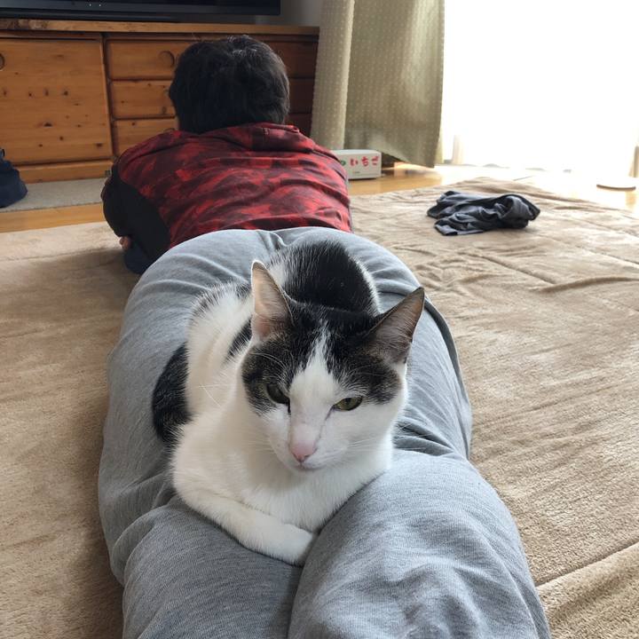 790a56d4 610a 4456 890f 0eb9f3c86528 1617062802667