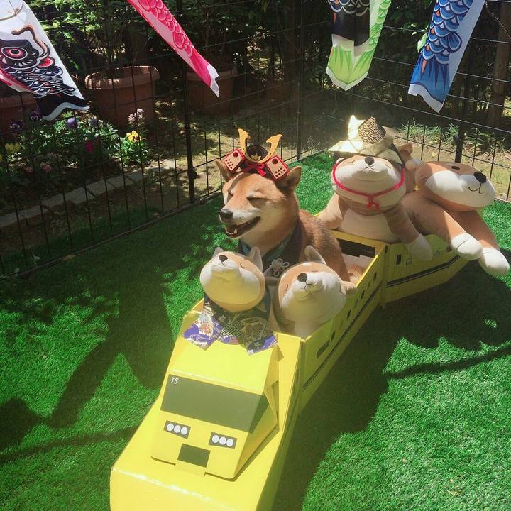 790a5c0b 7ed8 4577 92c9 8f41a0f45395 1525494865432