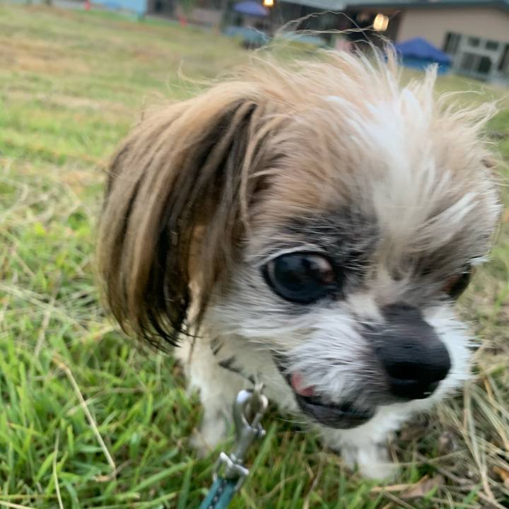 790a5cf0 d224 400f 9b09 65ba2c203149 1752050599433