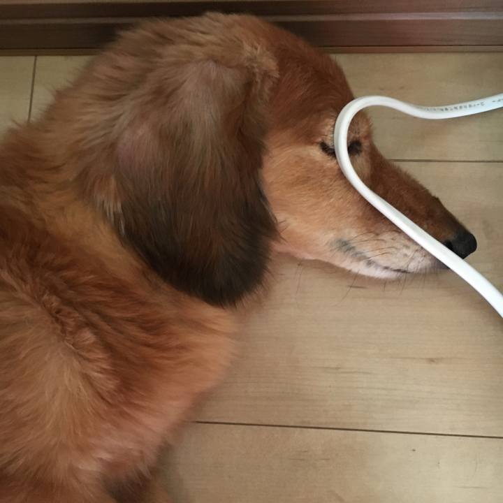 790af695 aa7d 4791 ba8b 548d5512e4f4 1625915148299