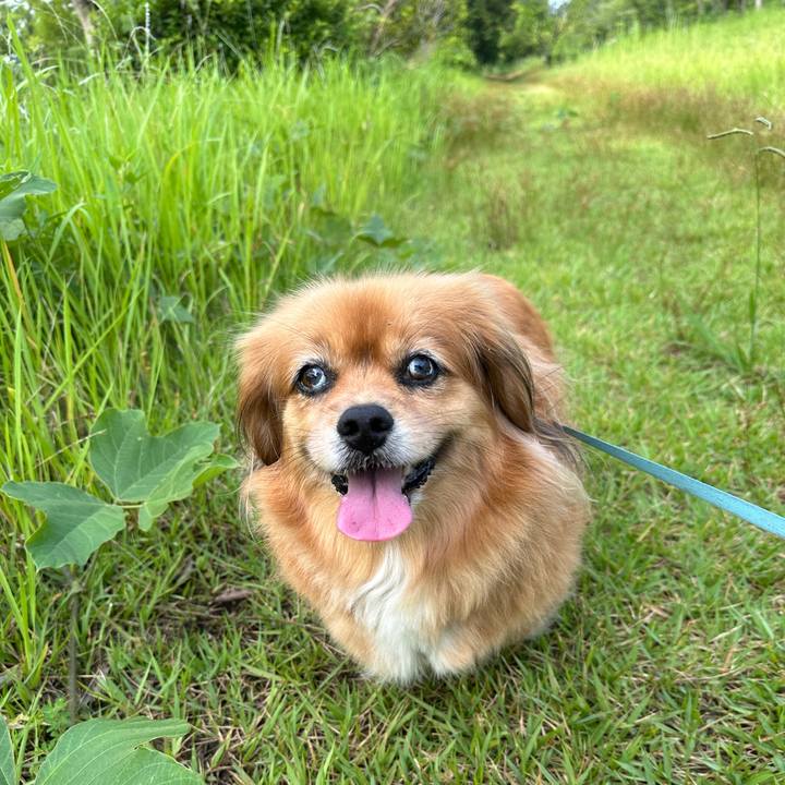 790afcc7 f0a0 41f3 85da 8f6565e87695 1720222237779