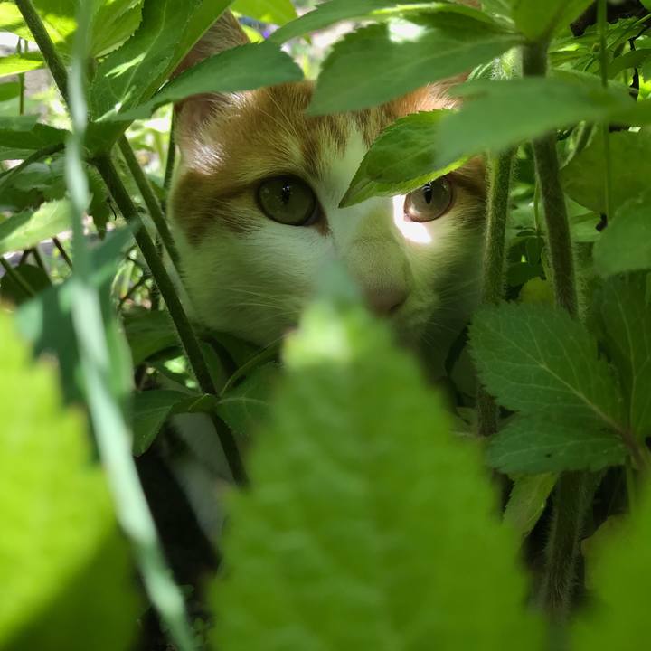 790b18da 2b30 473c 88b9 19535065848a 1526868875217