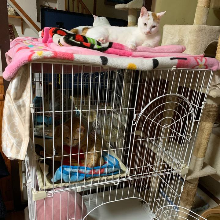 790b1efd e637 414d b853 9331373eca2b 1599666254386