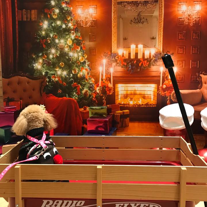 790b40f9 b805 471c b08d 5b6949c4c158 1513341022373