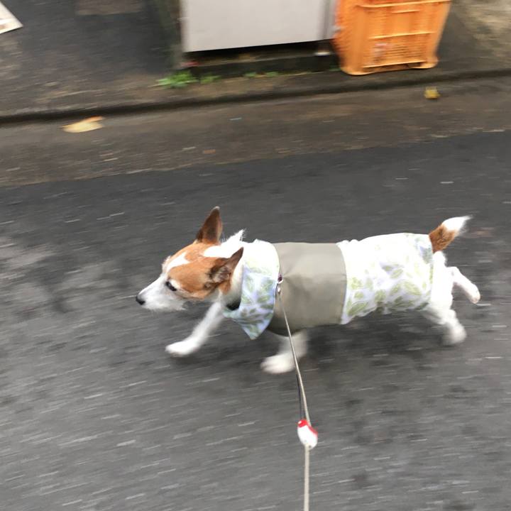 790bc1a9 683f 4be5 8d20 8395f3688dc0 1634513220708