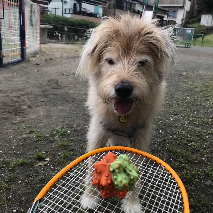 790bc99c b8c3 4046 a33d 6d355d0f5c1e 1571892432263