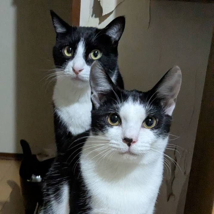 790be46f e483 48c2 a48d 5236a6c0b14e 1735137452885