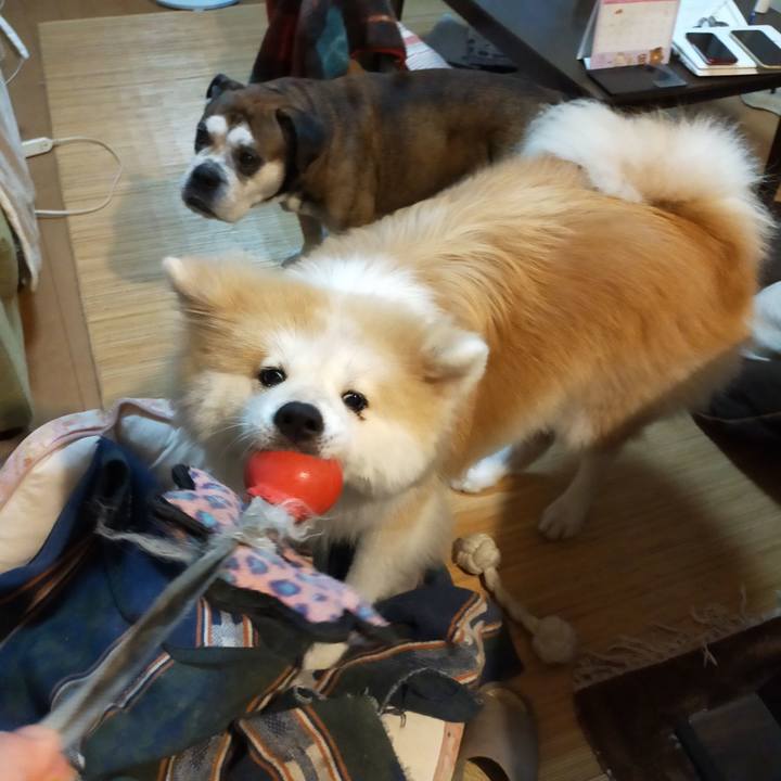 790beaec 8127 4054 93bf 3ba071cd3810 1634217575251