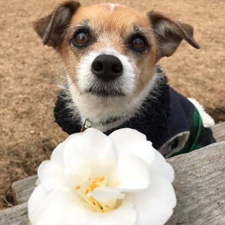 790c0370 c2e8 4f76 9ca4 3df60ef2c9be 1547103687211