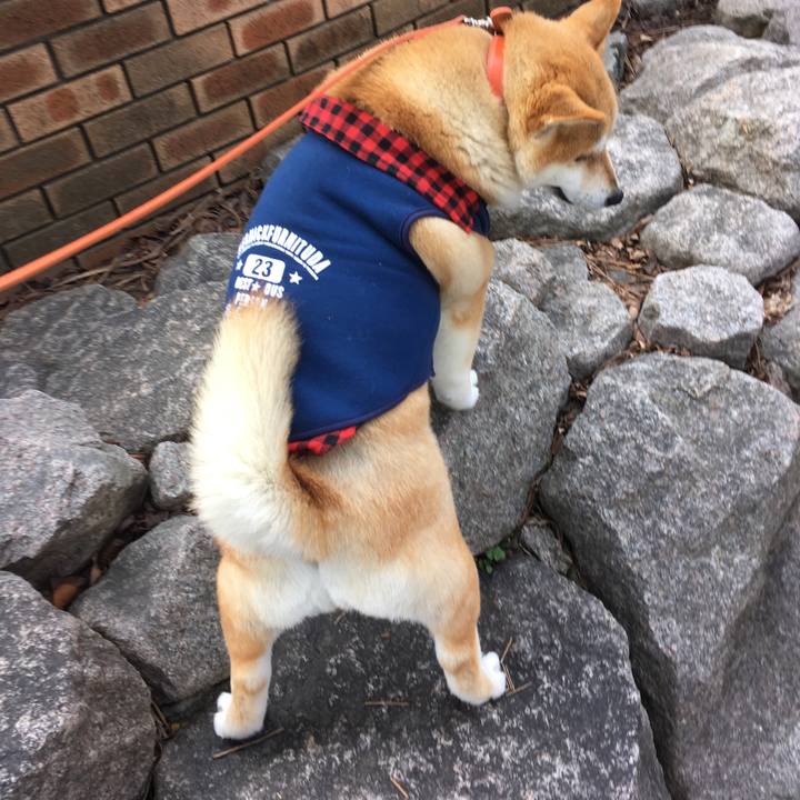 790c18af 1455 442f 89fe 9bc19531b05b 1552799100562