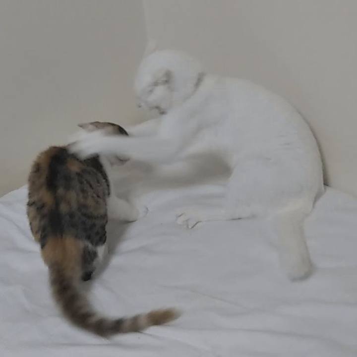 790c434e 4619 4f42 b4ad 7211a634bd7c 1630040443384