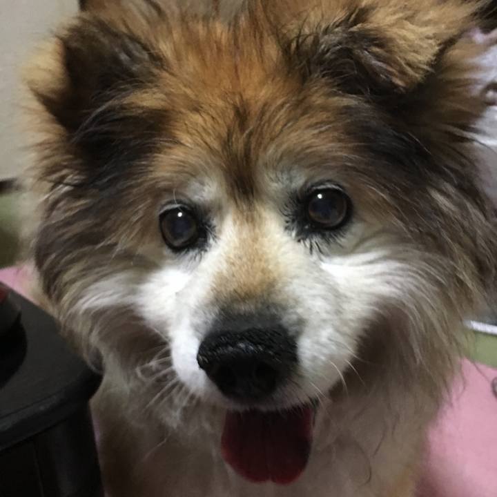 790c4772 4db1 428b b84c 81540d114b80 1627416688306