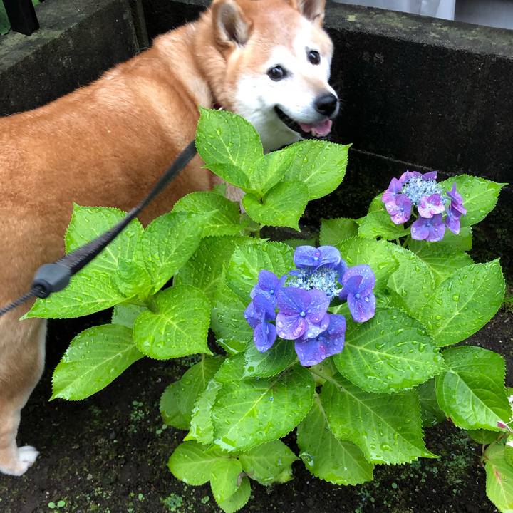 790c4bdb bb90 4516 8d37 82d7e83a6ffa 1561281097934