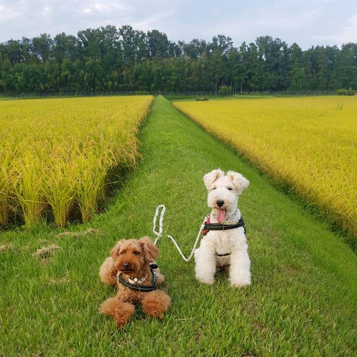 790c86ea bc4a 4e0f 9ecc bd691616ec7c 1567377282209