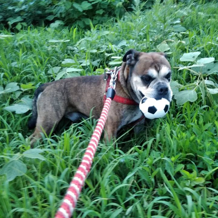 790cc4de 2ad9 4fa8 b4db 25a614f9eea1 1566139261135