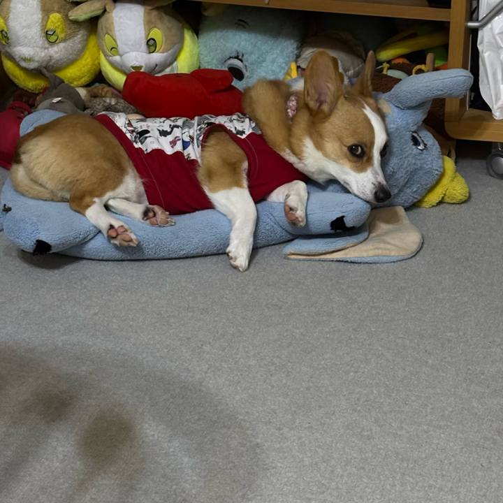 790cd989 69c0 4e74 921c fae0e271d8d5 1761235379673