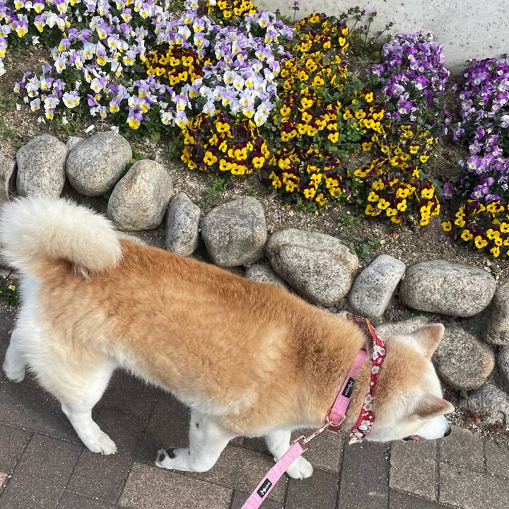 790d3aee a8d8 4345 b883 bb523c519b9c 1647301105135