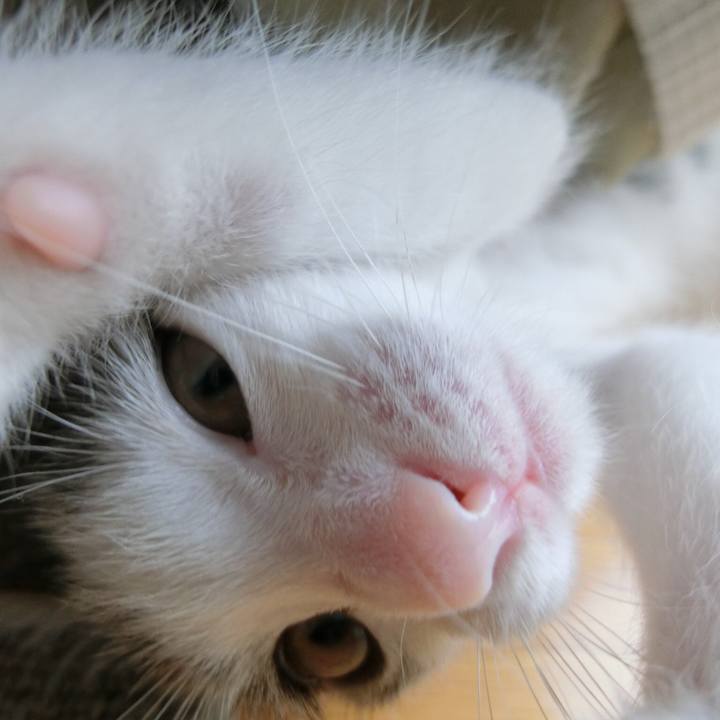 790d7bb3 38db 41cf 9519 d8d052678d01 1561518582135