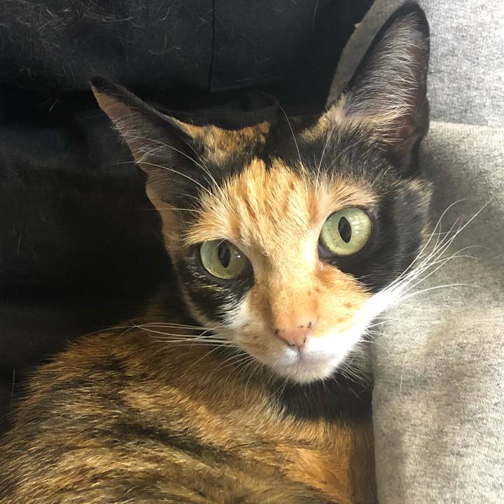 790d7e18 0163 476f a416 42c350a7836a 1579752022728