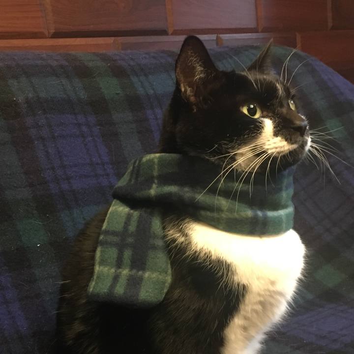 790d86fb bdf5 485a bc6b 7b0f9af14de2 1511010386843