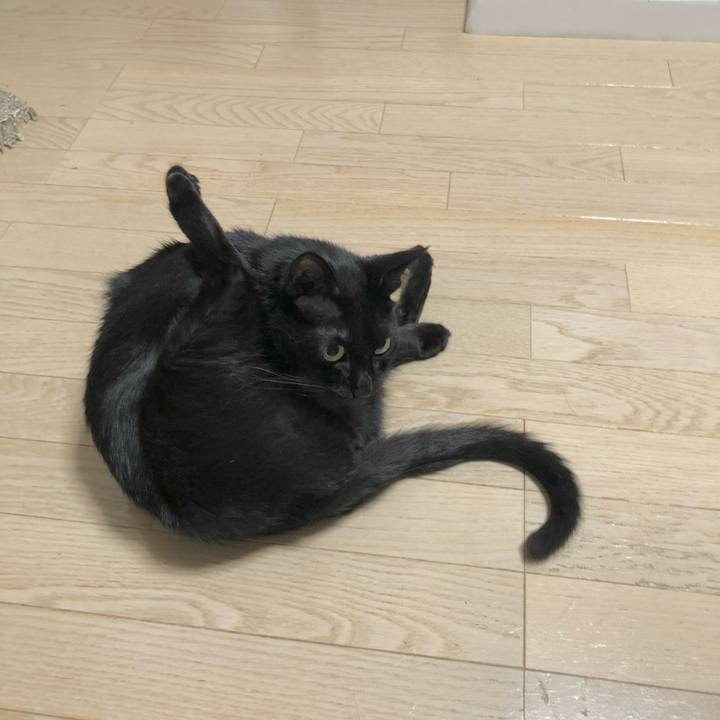 790db133 7295 453b 9884 cbce7eae3468 1627044660011