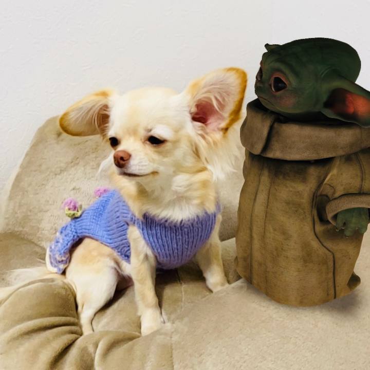 790db751 eeb6 493d a1f4 4591ff163cbe 1611401191974