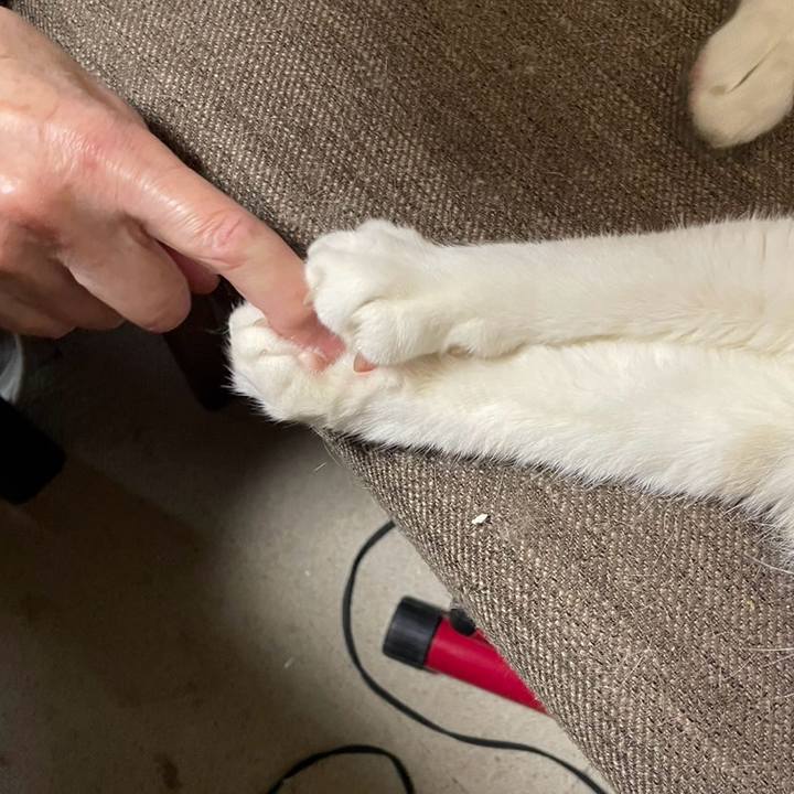 790e27e1 dc83 4de5 8d68 03c99b953502 1747718016157