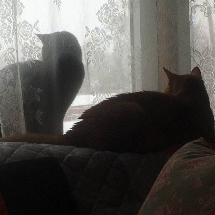 790e4a46 5f8f 4285 9b0d 0142078b5edc 1632963180554