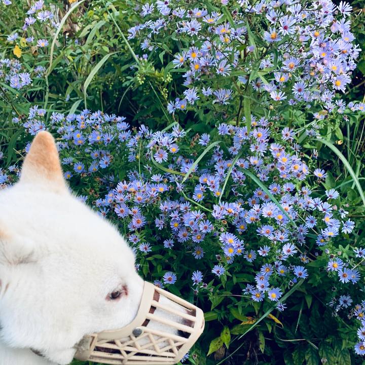 790e4e50 93cb 497f bc80 f5a9f2cb4585 1601329628588