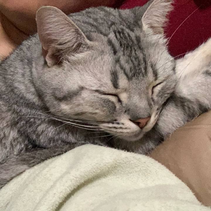 790e5312 a293 452a 872b 4da468f3a153 1617070513411