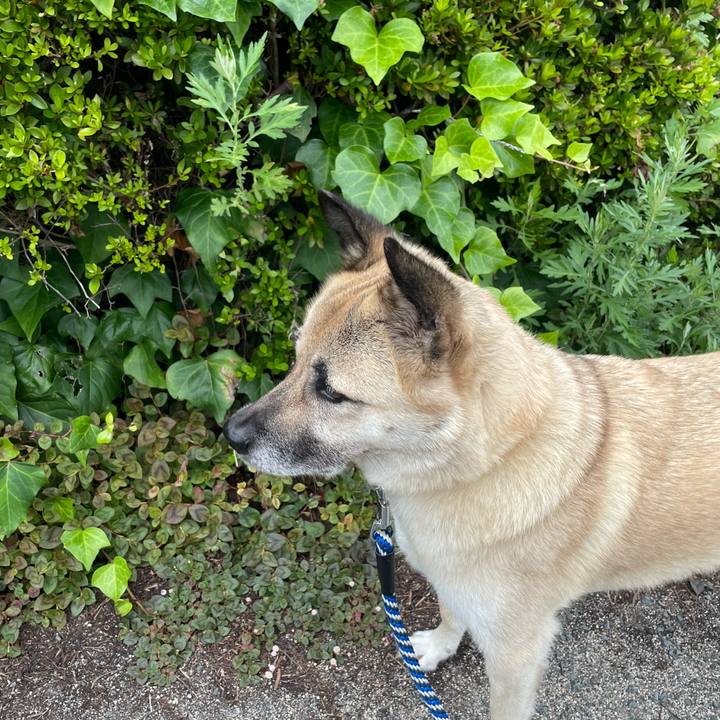 790eae90 76dc 457f b0b4 43c221a07a5c 1657540587775