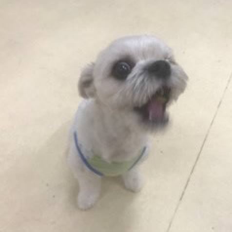 790eb33d 14c0 4392 a049 494a31144cd8 1508240283244