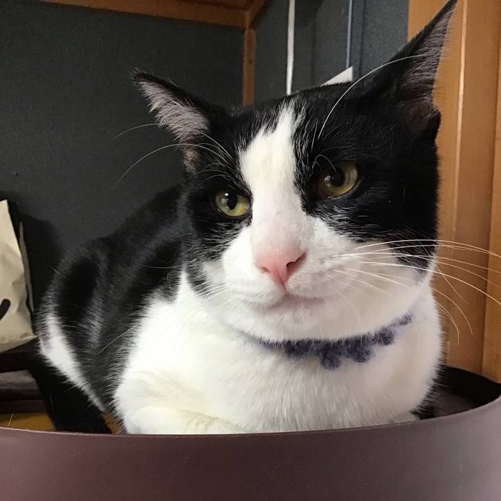 790eb6d1 a80c 4311 8bc6 565ec6c5abd2 1643015585802