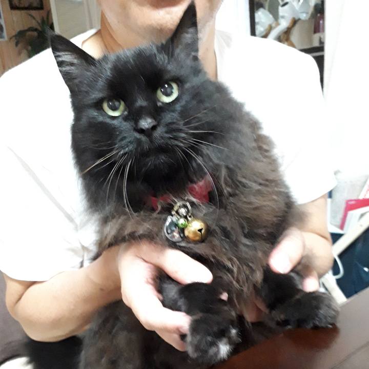 790ee3c2 2558 4d20 a204 e81cca0f0971 1563201948540