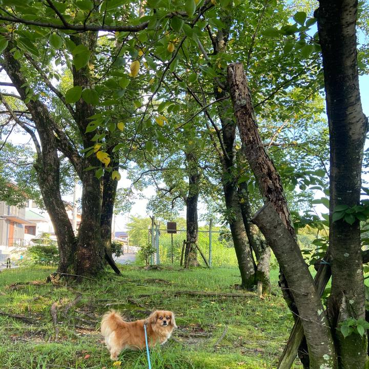 790f16c8 1c28 46c4 973b f061bc6b6812 1595113021945