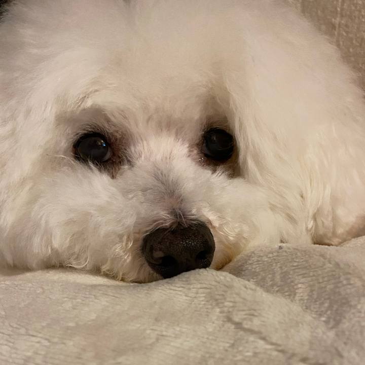 790f1df0 b695 441d 85b3 477ed8d87fca 1620201726522