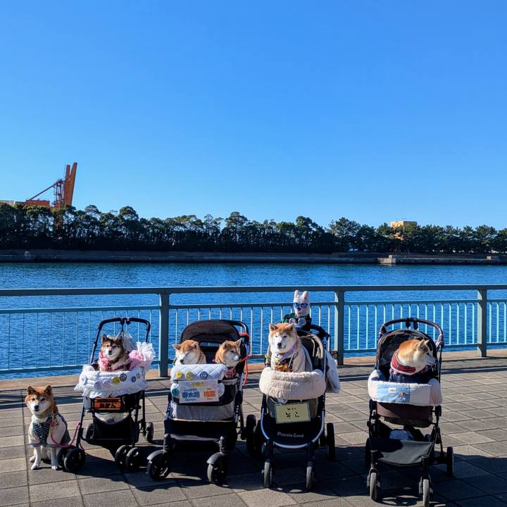 790f5628 6d40 4523 a65a 198ffeb456c5 1767106190243