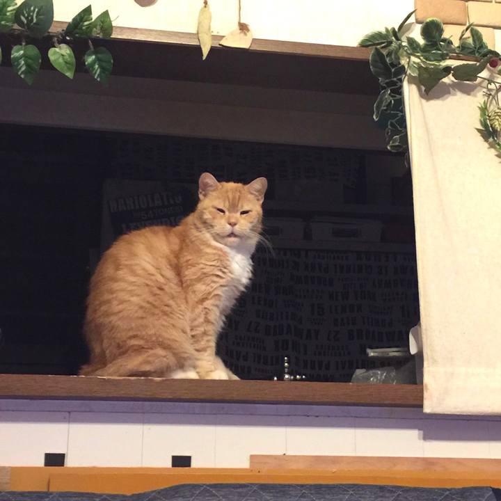 790f5e4c db06 4512 901d 19f0786b3686 1577369847299