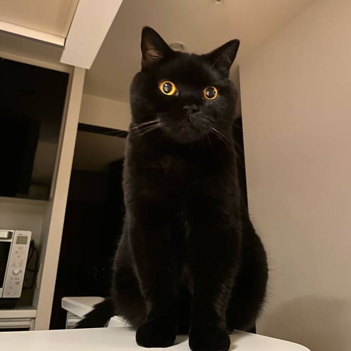 790f60c3 b27c 42d5 974e 2c79cd3b778b 1757419456473