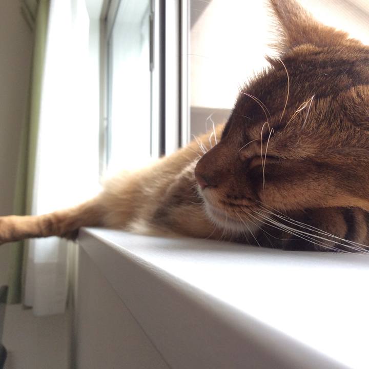 790f81b3 be49 45a4 9e5a 6d23bbb4d4bd 1592625599368