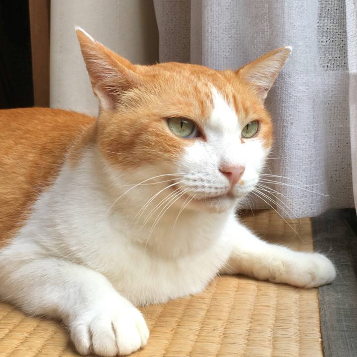 790f8c36 61ca 4f00 8b15 ef7fe5da198f 1566790515811