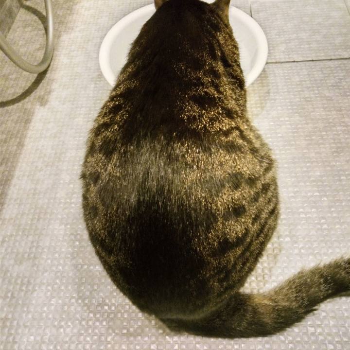 790f8cbb 0791 493d 9c52 2b00b287bab9 1759987253130