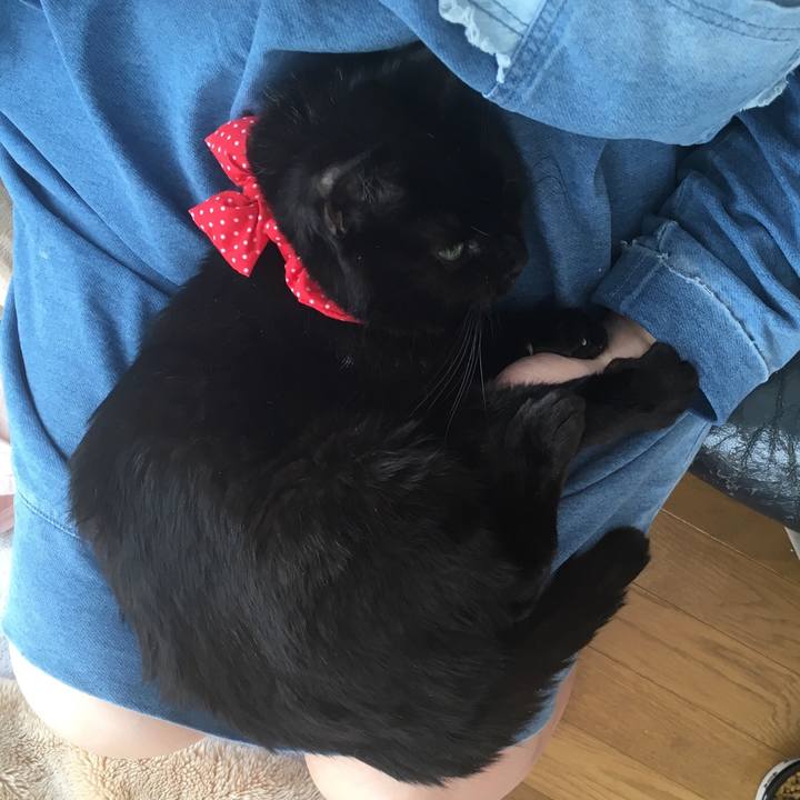 790f97ec 2a5e 4da4 bc21 9b87681c5cb8 1549760561342