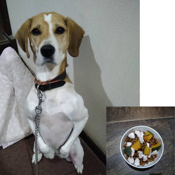 790fa184 491b 4029 b856 b3cf66d0a6c7 1635152760915