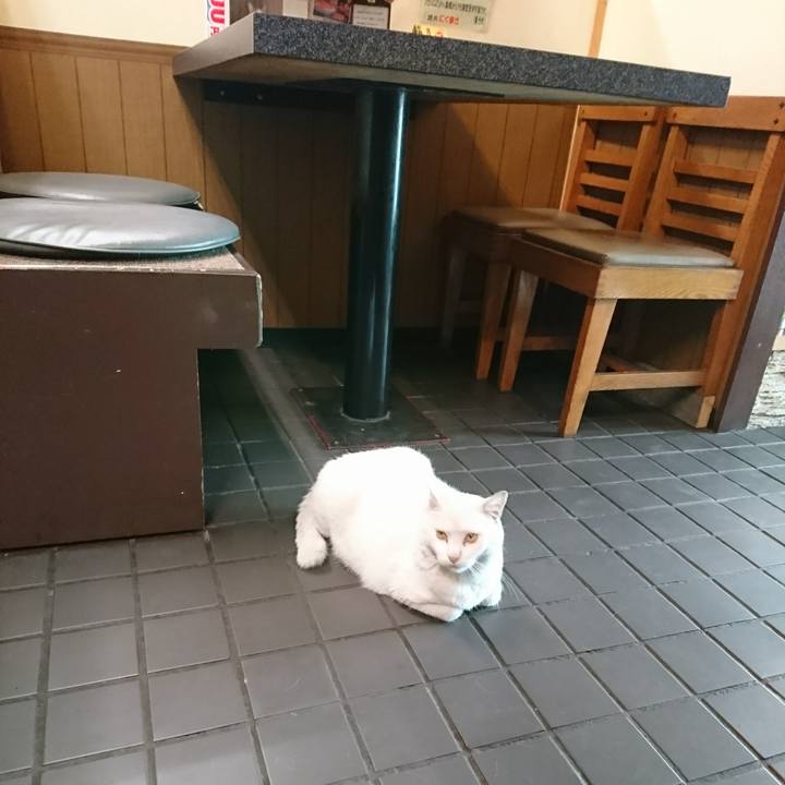 790fd3a8 d7ca 4061 bfe2 4df222e401d8 1562228614822