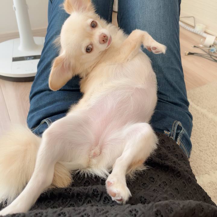 790fe845 c66d 4b8c 8fb1 7fec12144f1a 1726650173872