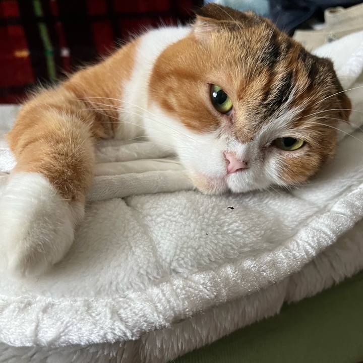 790fec6e 100e 4dc5 b04a 8bd4aeef7360 1657498278247