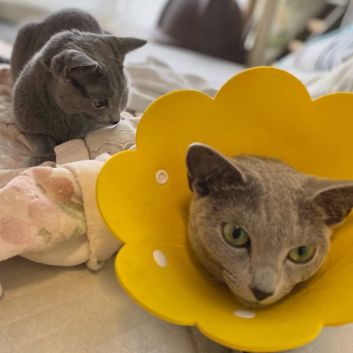 79100d39 075b 4cbb 9bc7 46c522c0975b 1631058913359